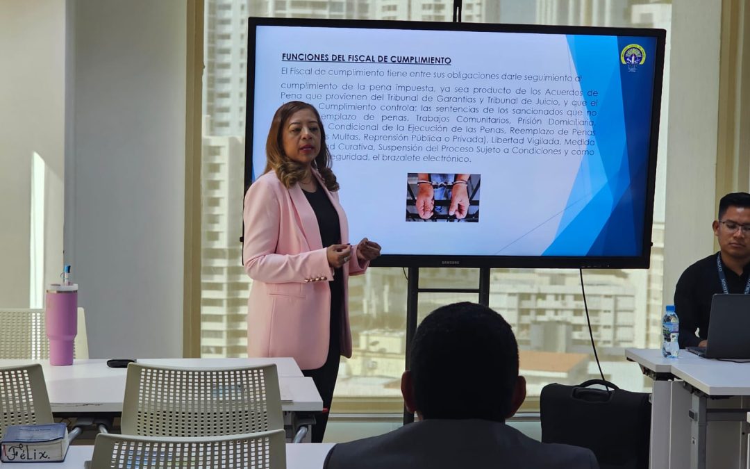 Programa de Litigación Oral en Fase de Cumplimiento