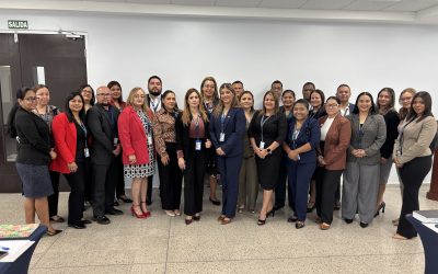 LOS RECURSOS ORDINARIOS Y EXTRAORDINARIOS