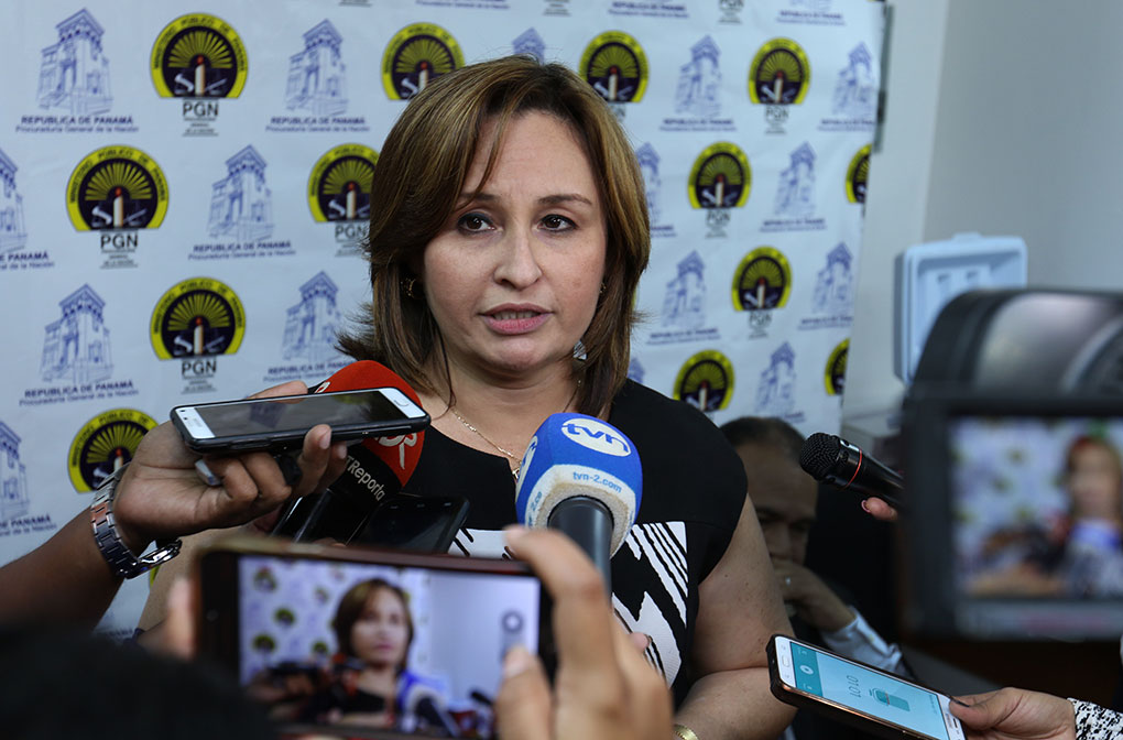 Procuradora Porcell: “Criminalidad organizada ha sido atacada durante el 2016”