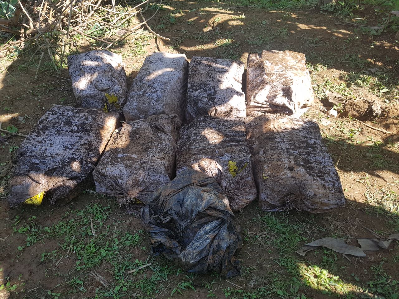 Decomisan 222 paquetes de presunta cocaína en la comunidad de Cuango en Colón