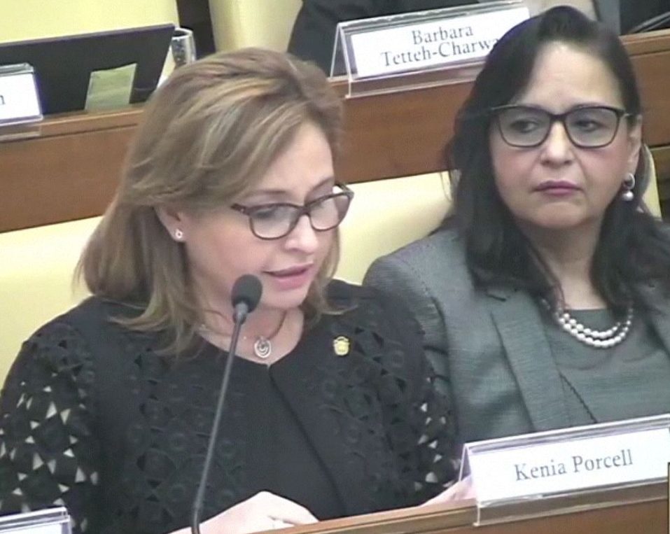 Procuradora General de la Nación Participa en Cumbre Internacional