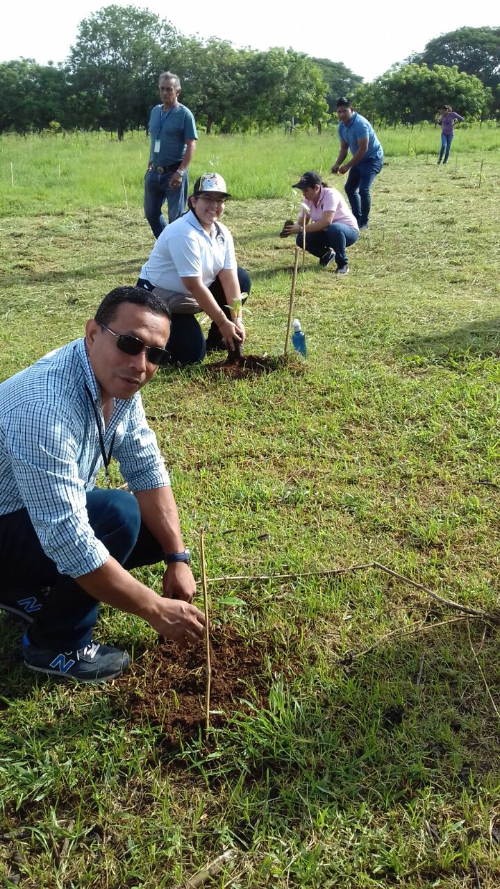Funcionarios del Ministerio Público en Panamá Oeste participan en jornada de reforestación