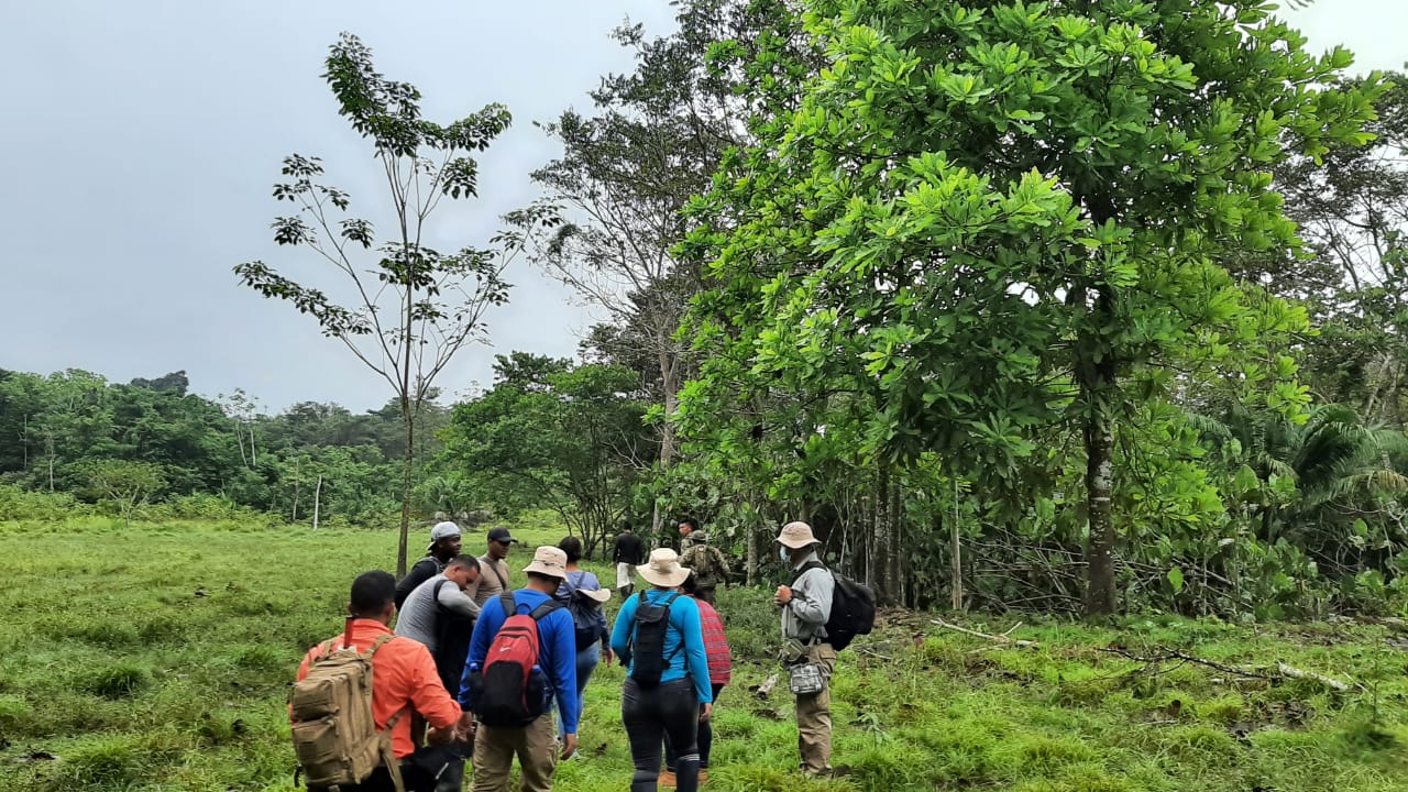 MP investiga deforestación de más de 180 hectáreas en bosque natural en Pihuila y Amarradero en la Provincia de Darién