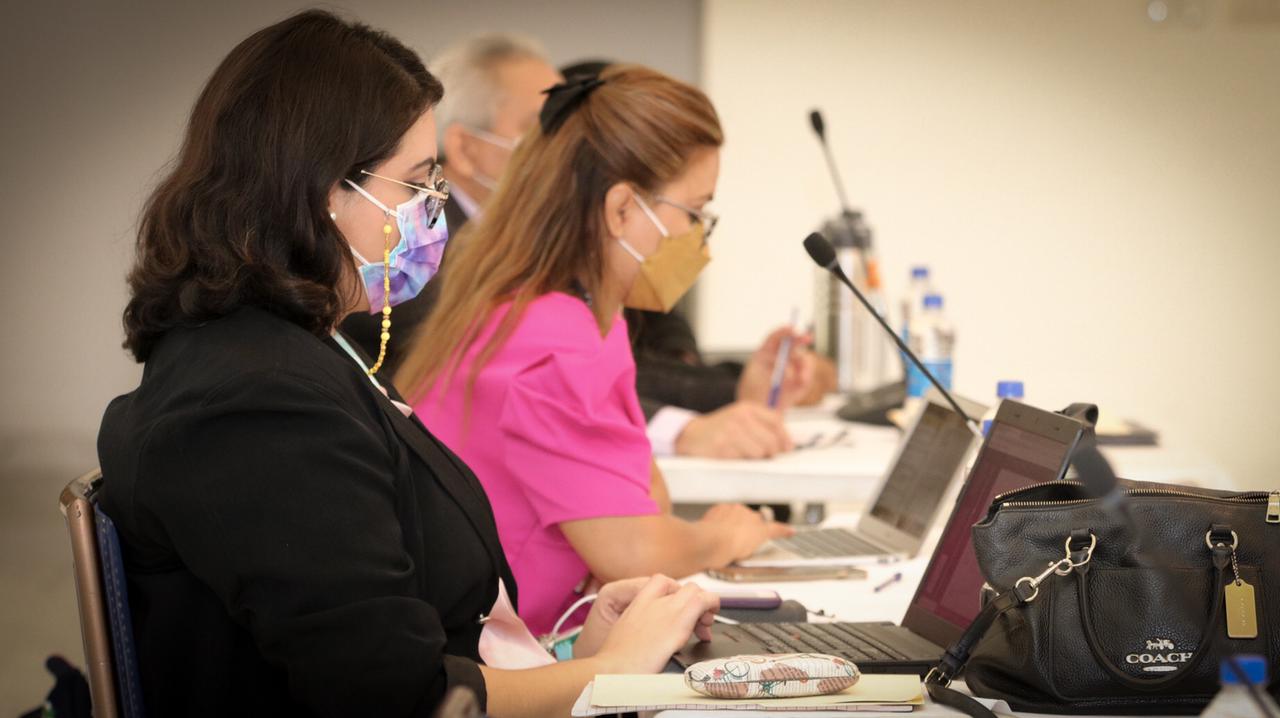La Secretaría Ejecutiva de la CONAPRED realiza reunión técnica de cuestionarios anuales de drogas
