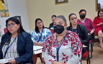 Centro de Procedimiento de Resolución de Conflictos en la provincia de Chiriquí registra 102 causas atendidas