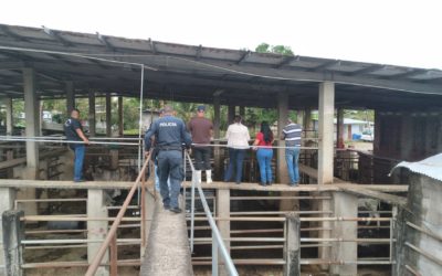 Fiscalía Regional de Panamá Oeste en conjunto con otras autoridades desarrollaron la operación Hermes 1 en La Chorrera