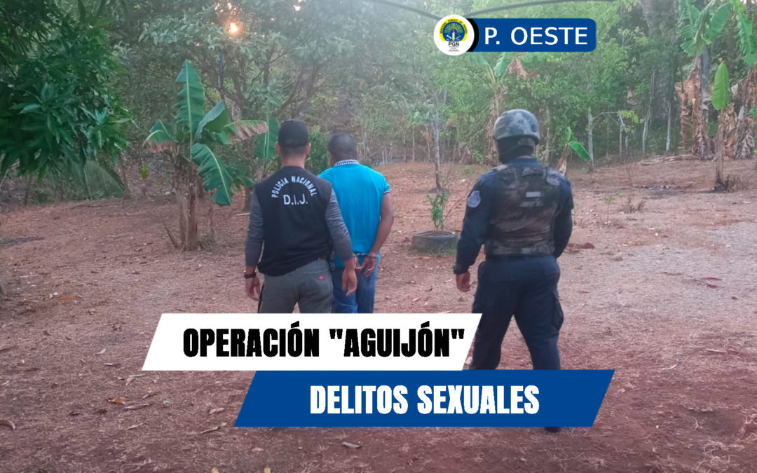 Dos personas son aprehendidas en la operación “Aguijón” por delito sexual