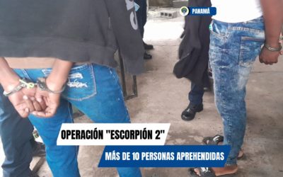 Aprehenden a 16 personas en la segunda fase de la operación “Escorpión”