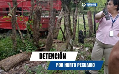Un hombre queda bajo detención provisional por el delito de hurto pecuario