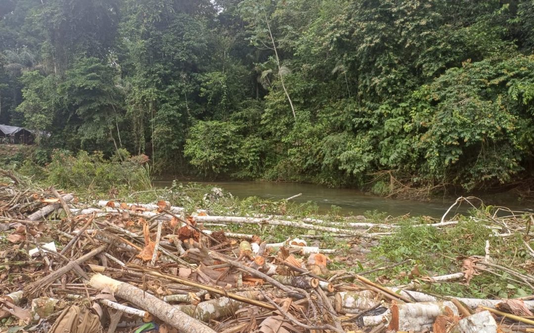 Aprehenden a 5 personas vinculadas a la minería ilegal