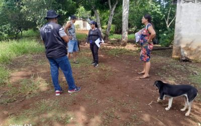 Fiscalía realiza diligencias judiciales para minimizar el delito de hurto pecuario en La Chorrera