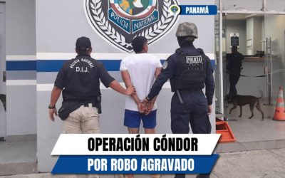 Aprehenden a cinco personas mediante la Operación Cóndor 2