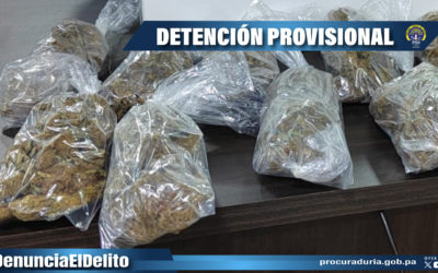 Fiscalía de Drogas de Chiriquí logra detención provisional de una persona por comercialización de sustancia ilícitas