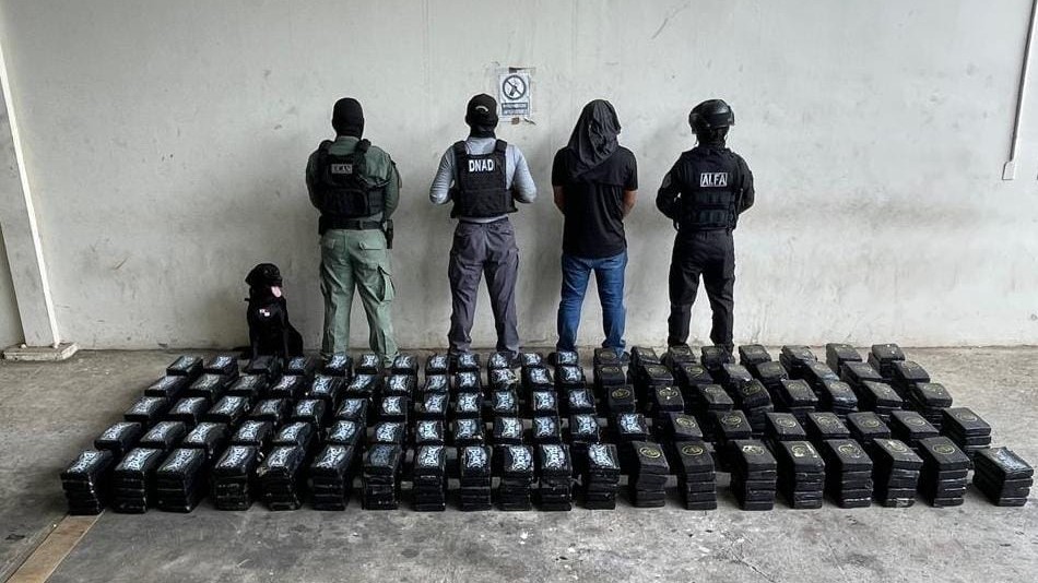 Fiscalía Especializada de drogas en Chiriquí aprehende a una persona y ubica 499 paquetes de drogas