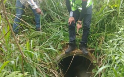 Imputan cargos a promotor de proyecto por delitos contra los recursos naturales