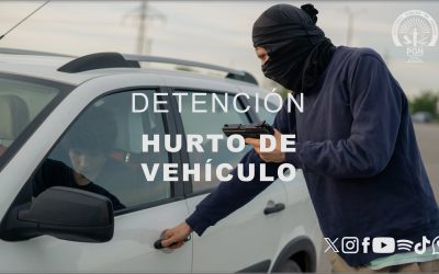 En Chiriquí ordenan la detención provisional de un hombre imputado por el delito de hurto de vehículos