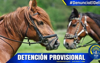 Le revocan la medida de reporte periódico por el delito de hurto pecuario