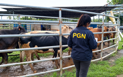 PGN logra condena de 10 años de prisión para un hombre por el delito de hurto pecuario