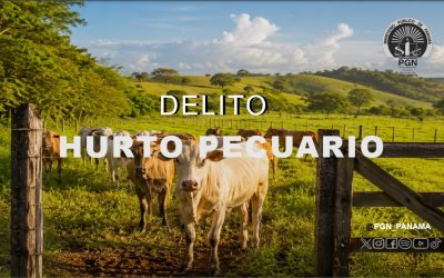 Por hurto pecuario imputan a un hombre en Chiriquí y ordenan su detención provisional