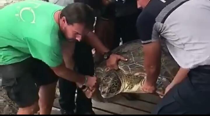 Aprehenden a 4 personas por el delito contra la vida silvestre