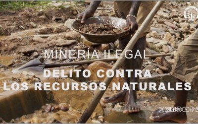 Condena para cuatro personas por el delito contra los recursos naturales