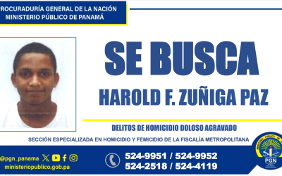 Sección de Homicidio y Femicidio solicita información de la ciudadanía para dar con la aprehensión de una persona