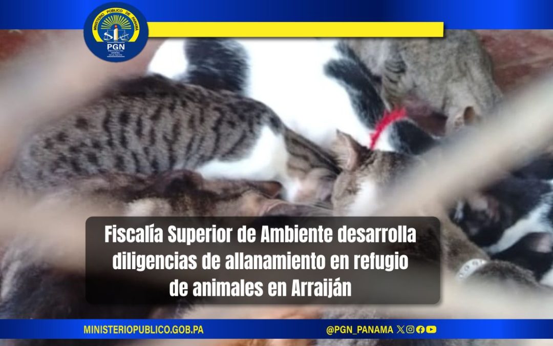 Fiscalía Superior de Ambiente desarrolla diligencias de allanamiento en refugio de animales en Arraiján