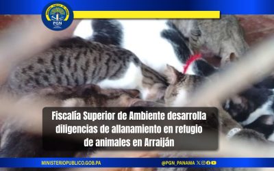 Fiscalía Superior de Ambiente desarrolla diligencias de allanamiento en refugio de animales en Arraiján