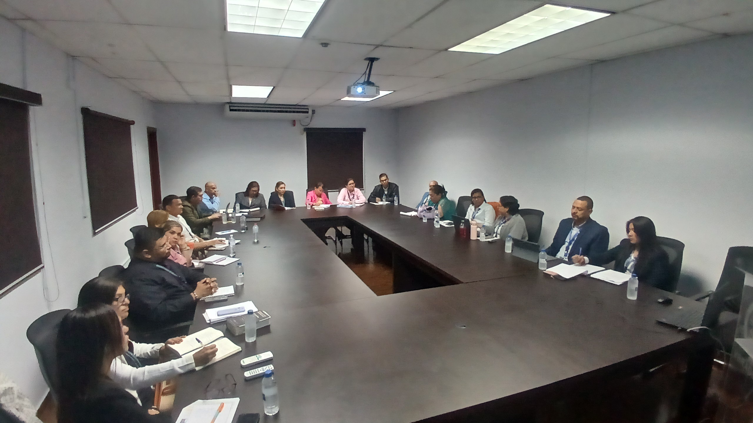 OMESSPA y Auditoría Forense del Instituto de Medicina Legal y Ciencias Forenses sostienen reunión de coordinación