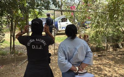 Cuatro personas fueron aprehendidas en la operación “Farol”