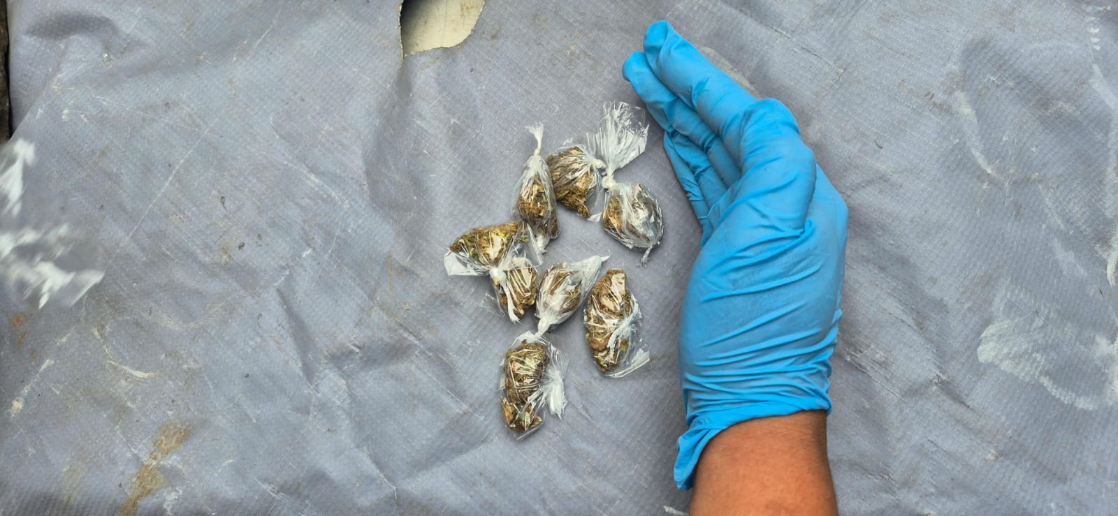 Mediante la operación “Impacto”, 13 personas fueron aprehendidas por microtráfico