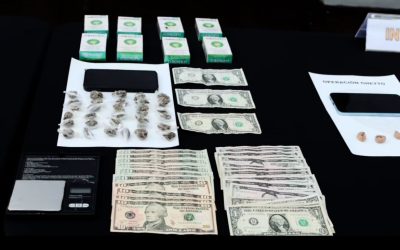 15 personas aprehendidas por venta de drogas en Chiriquí, mediante Operación Dealer 2