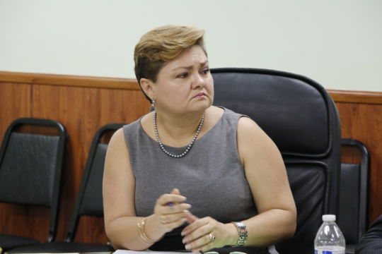 Blanca Gómez, presidenta del Colegio Nacional de Periodistas.