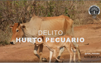 Imputan cargos y ordenan la detención de un hombre por los delitos de hurto pecuario y hurto agravado