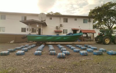 En Chiriquí incautan 1,098 paquetes de presunta sustancia ilícita y aprehenden a tres extranjeros