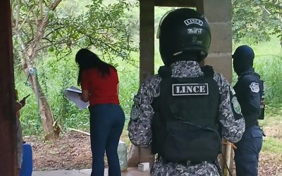 Fiscalía Regional de Panamá Oeste desarrolla la operación “Holstein 1” contra el hurto pecuario